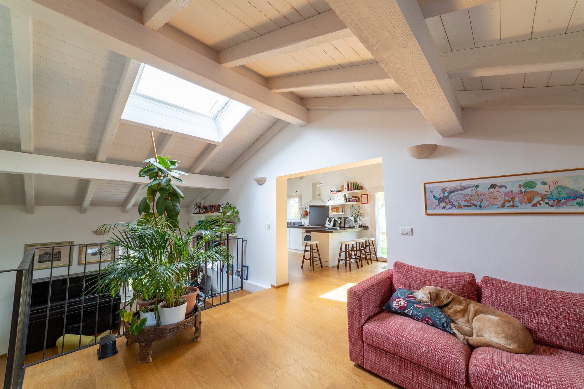 Interno tetto in legno bianco spazzolato